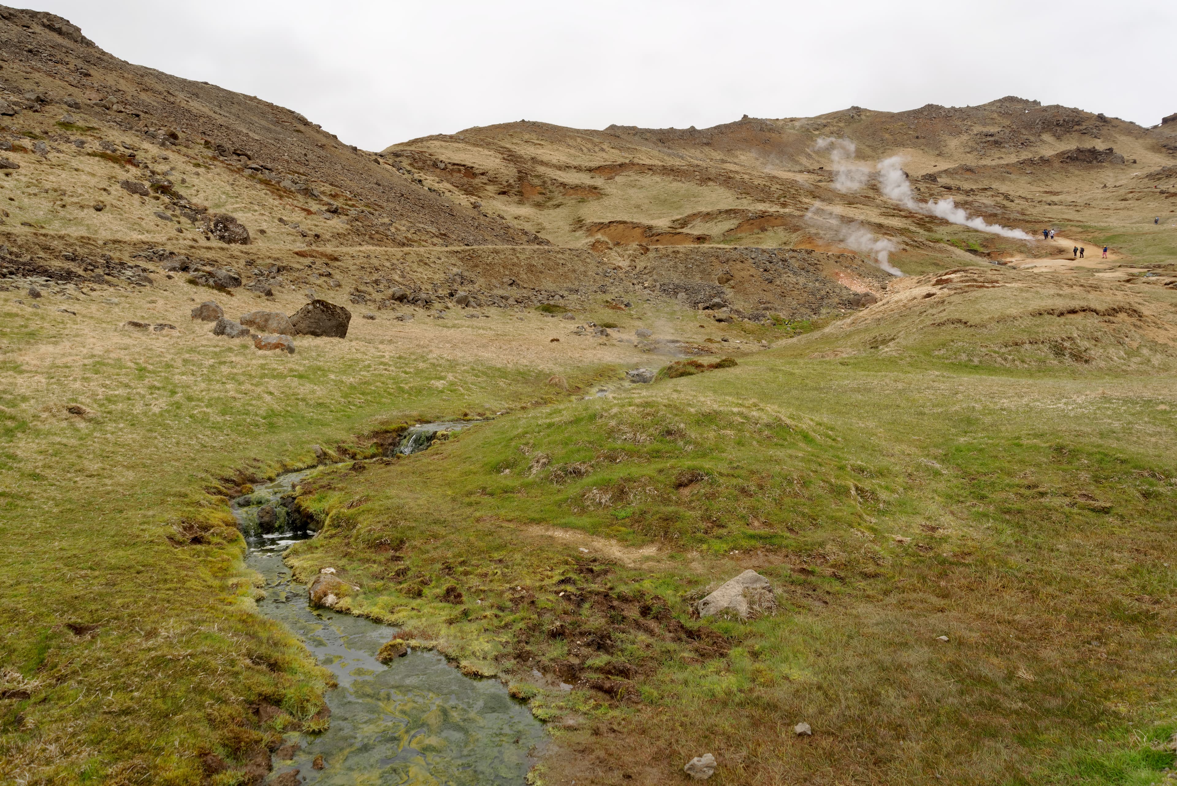 The Reykjadalur valley in Iceland, green slopes with geothermal steam